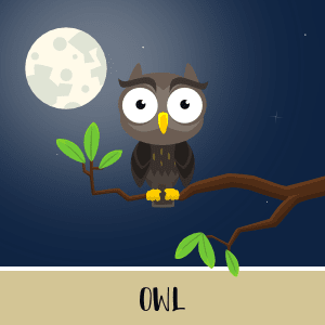 Animated owl