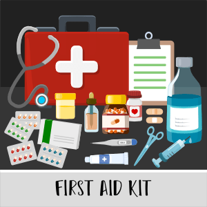 First aid kit items