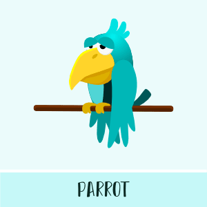 Parrot